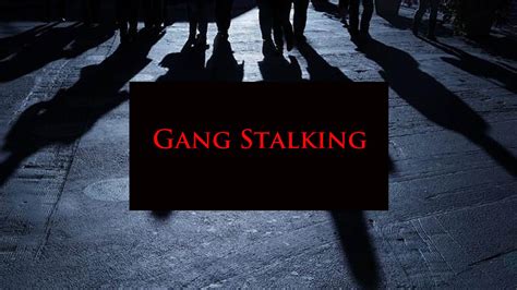 what is a gang stalker|is gang stalking legal.